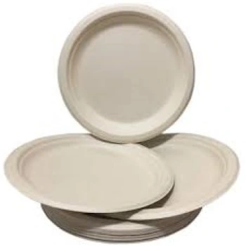 Lightweight Bagasse Disposable Plate