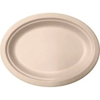 Bagasse Disposable Plate For Events And Parties