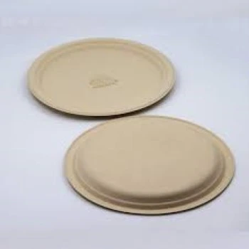 Bagasse Disposable Plate