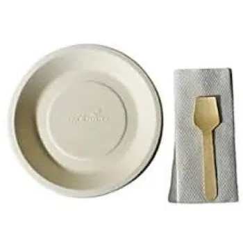 Bagasse Disposable Plate