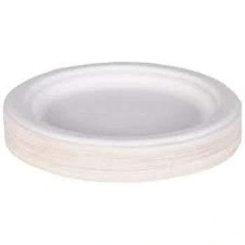 Eco Friendly Bagasse Disposable Plate