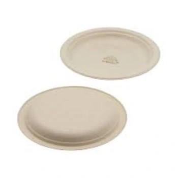 Bagasse Disposable Plate