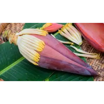 Banana Flower