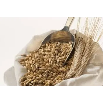 Natural Barley