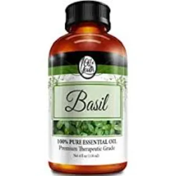 Basil Massage Oil