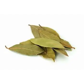 Bay Leaf