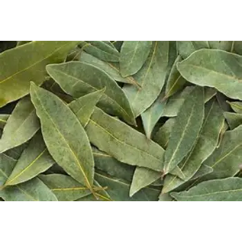 Bay Leaf