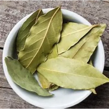 Bay Leaf