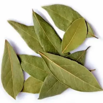 Natural Bay Leaf