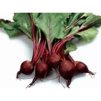 Organic Beetroot