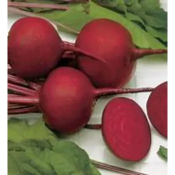 Organic Beetroot