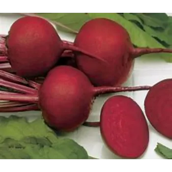 Beetroot