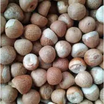 Organic Betelnuts