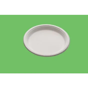 Biodegradable Bowl