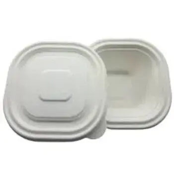 Recyclable Biodegradable Container