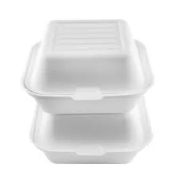 Biodegradable Container For Food Packaging 