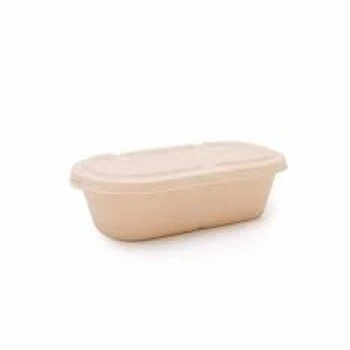 Eco Friendly Biodegradable Container