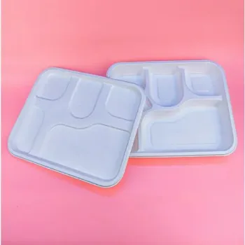  Biodegradable Tray