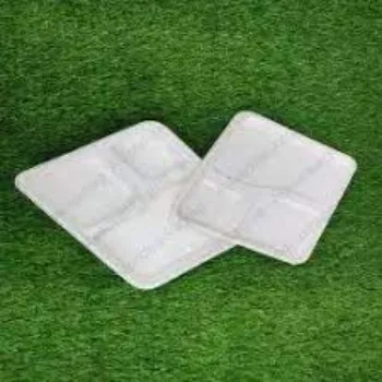  Biodegradable Tray