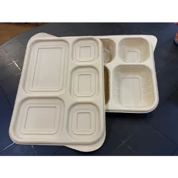  Biodegradable Tray