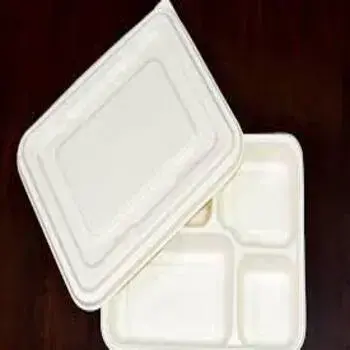 Recyclable Biodegradable Tray