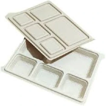 Eco Friendly Biodegradable Tray