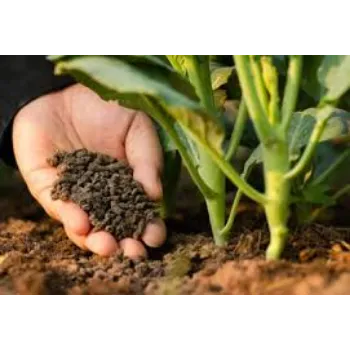 Organic Bio Fertilizer