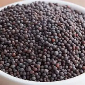 Black Mustard Seeds