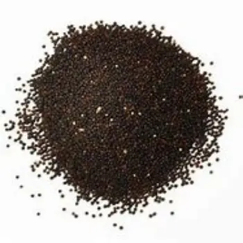 Black Mustard Seeds