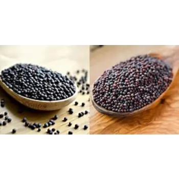 Black Mustard Seeds