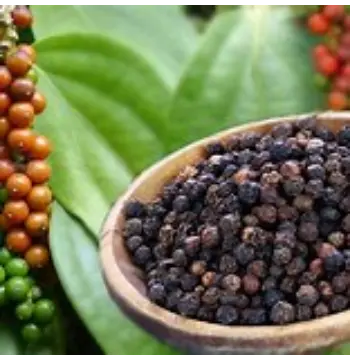 Natural Black Pepper Manufacturer