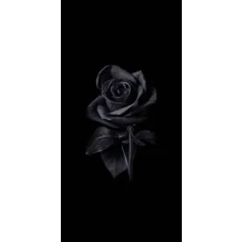 Natural Black Rose