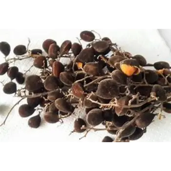 Black Tamarind