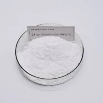 Brassinolide Powder