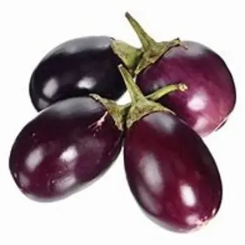 Organic Brinjal