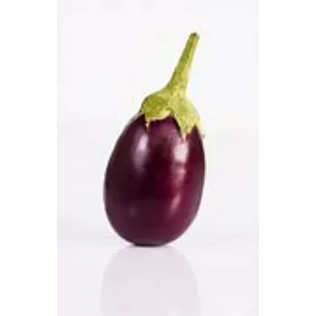 Organic Brinjal