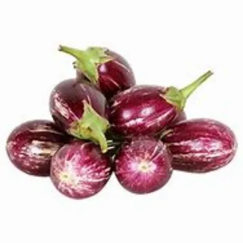 Brinjal