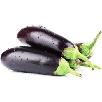 Organic Fresh Brinjal