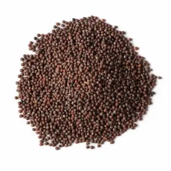 Brown Mustard Seeds