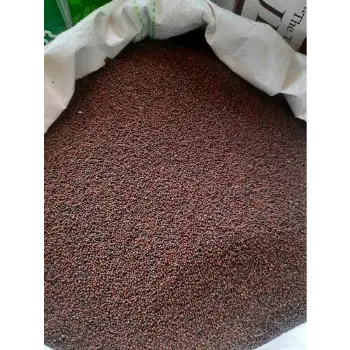 Natural Brown Mustard Seeds