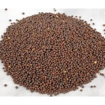 Brown Mustard Seeds