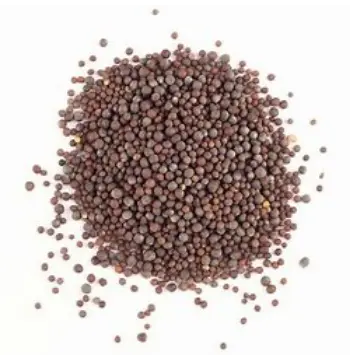 Natural Brown Mustard Seeds