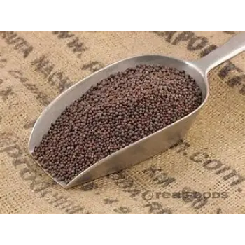 Brown Mustard Seeds