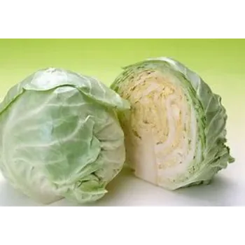 Cabbage