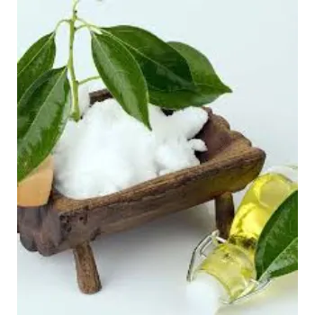 Camphor Powder