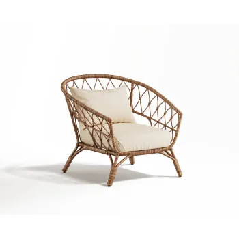 Modern Cane Chair