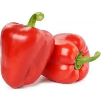 Organic Red Capsicum