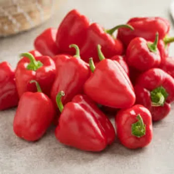 Organic Red Capsicum