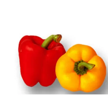 Organic Red Capsicum