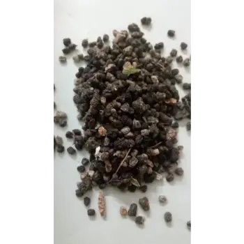 Cardamom Seeds